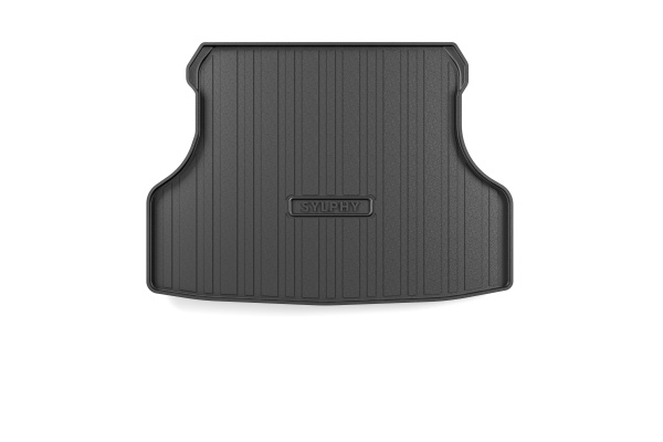 06-19 Bluebird Sylphy